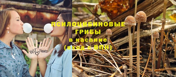 прущая мука Покров