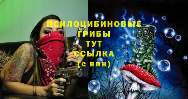 гашик Красноперекопск